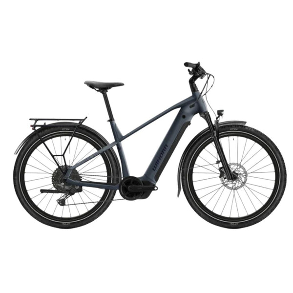 Bicicleta elétrica de trekking Winora YUCATAN X10 High MA com estampa de pombo de peluche - fosca 2026 (Cópia)