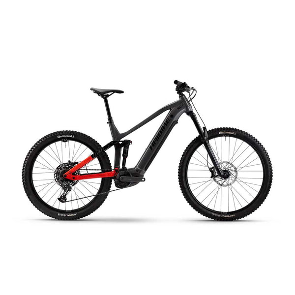 Bicicleta elétrica Haibike ALLMTN 4 cinza
