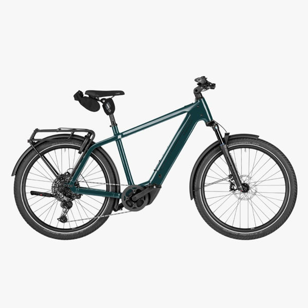 Bicicleta elétrica de trekking Riese Müller Charger5 Touring Pine 