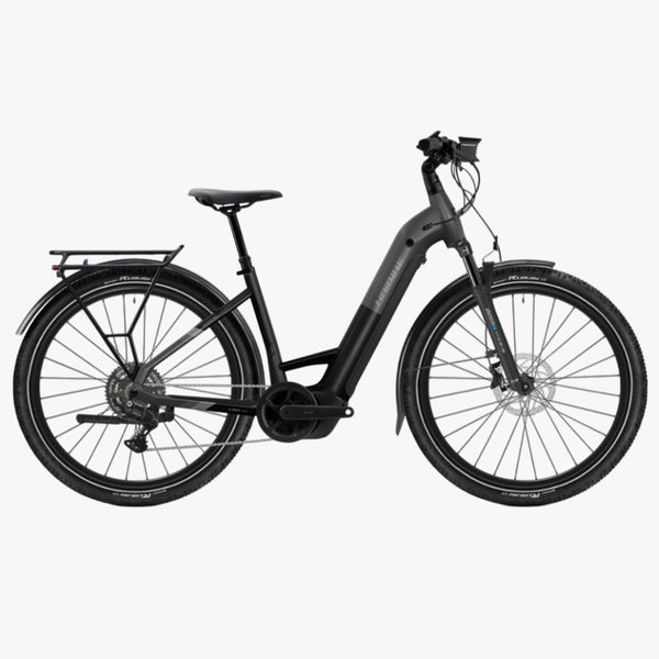 Bicicleta elétrica de trekking Haibike TREKKING 6.5 Low stardust/titan 2026 