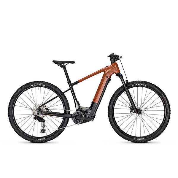 Focus JARIFA2 6.8 - Laranja ferrugem brilhante / Castanho ferrugem brilhante