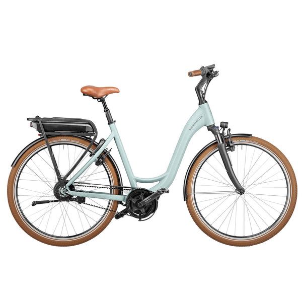 Bicicleta elétrica Riese Müller Swing Vario Green 28